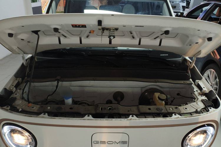 Used  Panda 2023 Panda Mini 200km Endurance Bear
