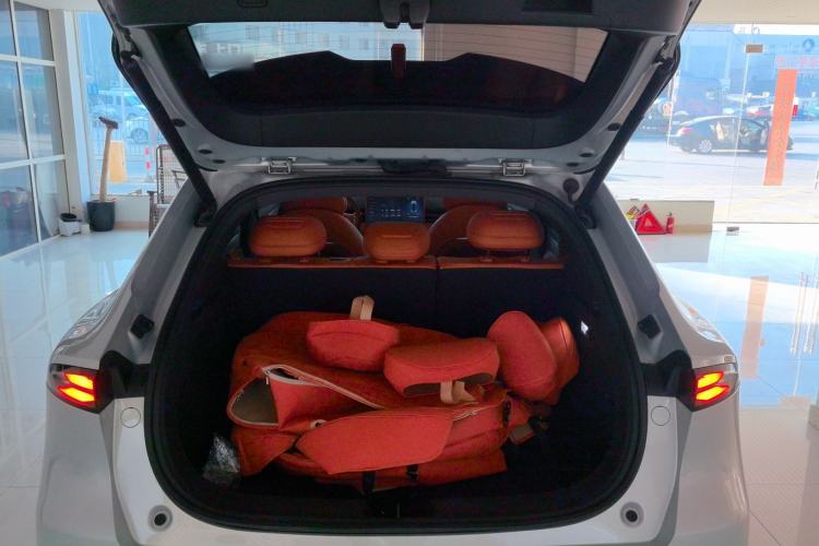 Used  S05 2024 200Max Range-Extended Long-Range Version
