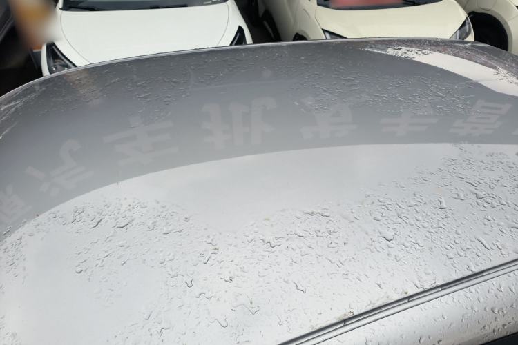 Used  Geome 2025 310km Dream Edition
