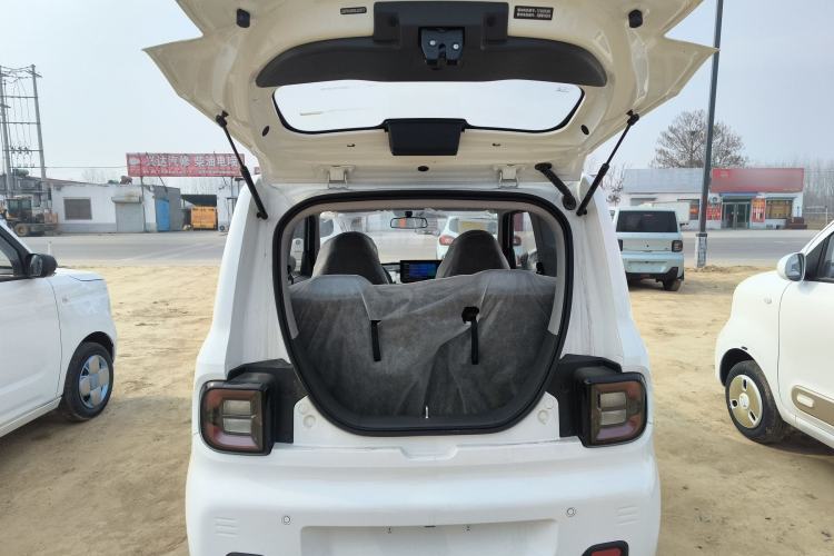 Used  Panda 2024 Panda Mini 200km Endurance Bear
