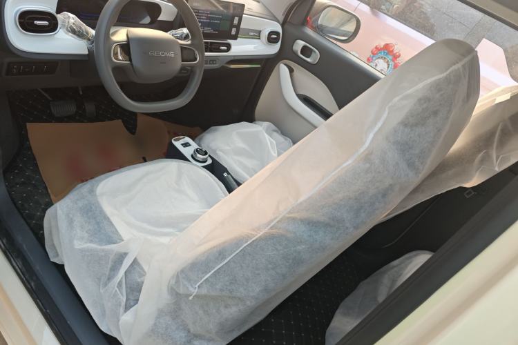 Used  Panda 2025 210 km – Yuanqi Bear
