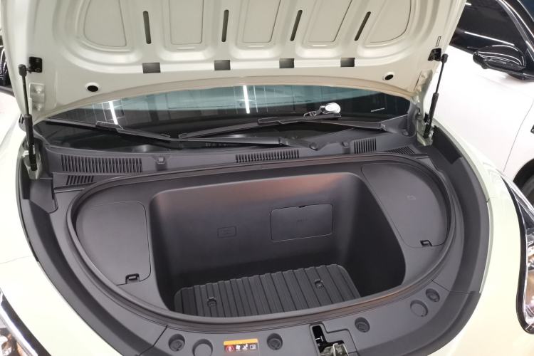 Used  Geome 2025 410 km Free Version
