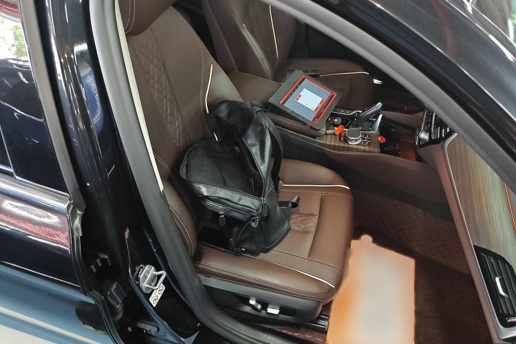 Used BMW 5 Series New Energy 2019 530Le Luxury Package
