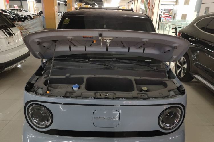 Used  Panda 2024 200km Panda Kart
