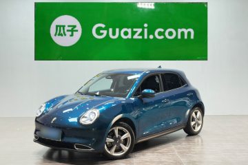 Used ORA Good Cat 2023 401 km Standard Range Luxury Version Lithium Iron Phosphate