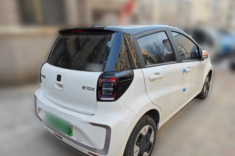 Used SOL E10X 2022 Flower Fairy Design Four-Leaf Clover