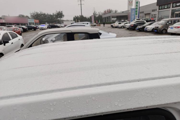 Used  Panda 2024 Panda Mini 200km Endurance Bear
