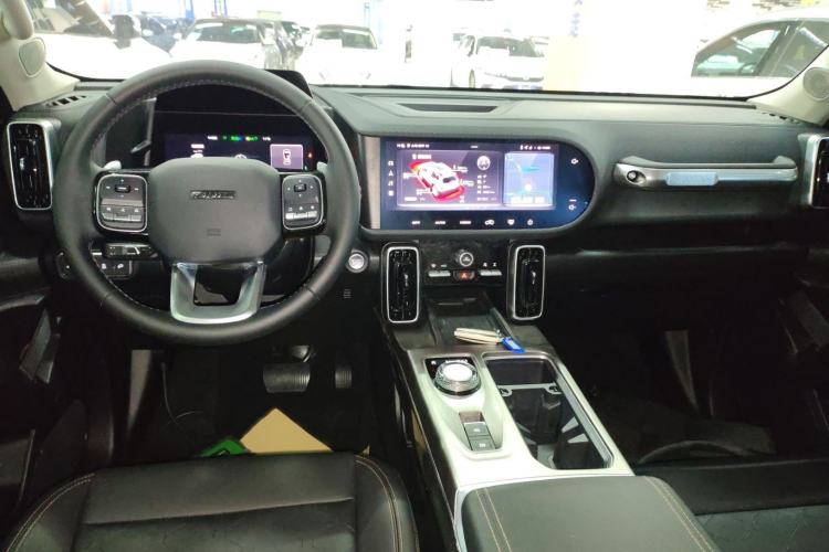 Used Haval DARGO 2024 2.0T DCT Chinese Rural Dog Edition
