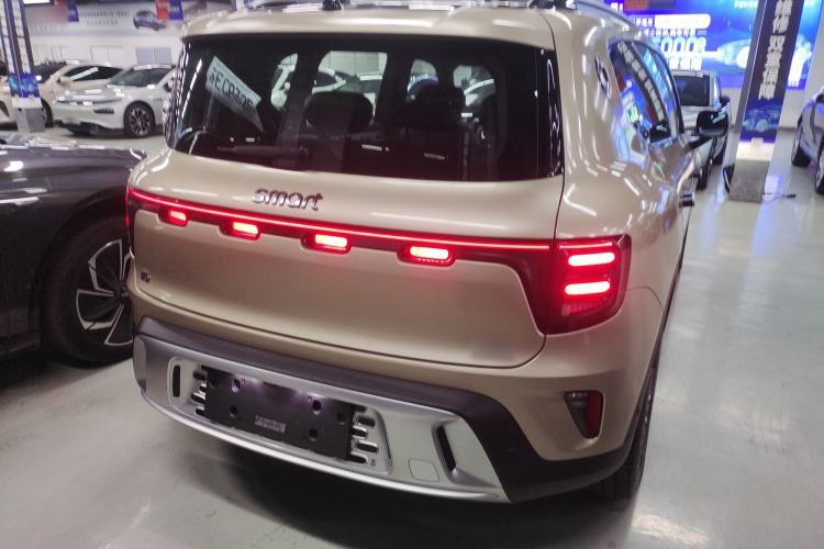 Used  #5 2025 Ultra-Long Range Luxury Four-Wheel Drive Edition