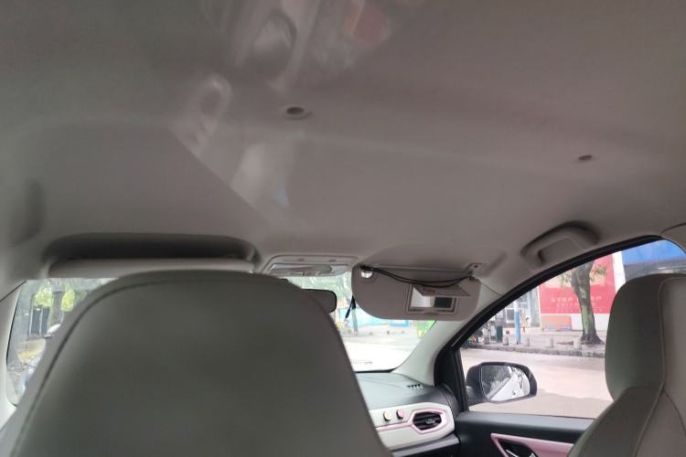 Used SOL E10X 2022 Flower Fairy Design Four-Leaf Clover
