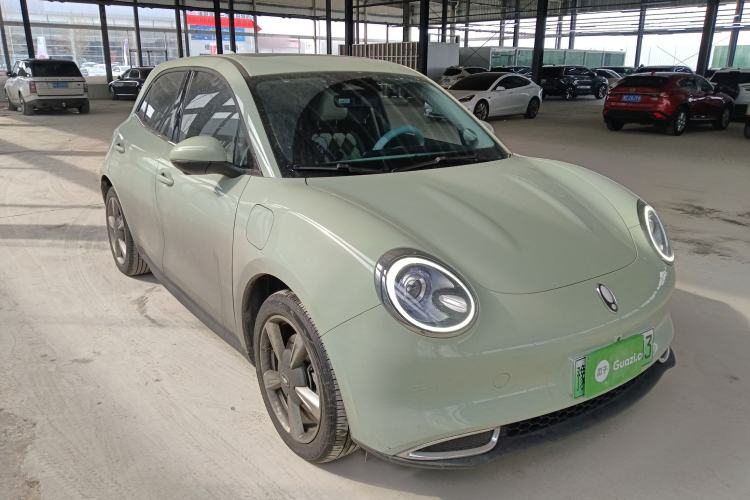 Used ORA Good Cat 2022 Morandi Edition 400km Standard Range Premium Version Lithium-Ion Battery