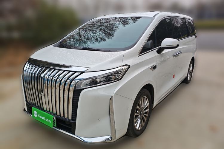 Used Wey Gaoshan 2023 Four-Wheel Drive Flagship Edition