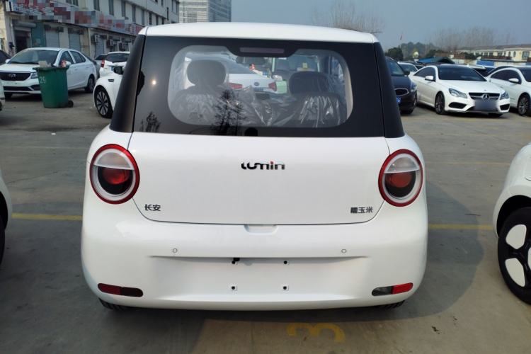 Used  Lumin 2025 205 km Xiangqin Version
