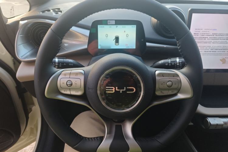 Used BYD Dolphin 2025 420km Free Edition
