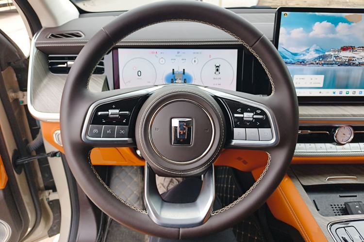 Used Tank 500 New Energy 2025 Hi4-Z
