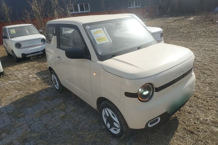 Used  Panda 2025 210 km – Yuanqi Bear
