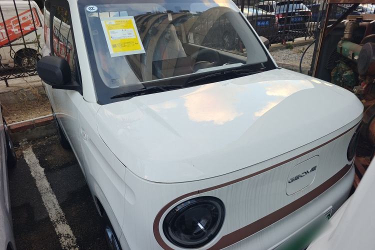 Used  Panda 2024 Panda Mini 200km Endurance Bear
