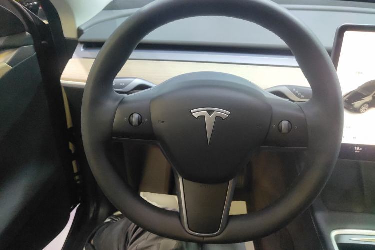 Used Tesla Model Y 2021 Standard Range Rear-Wheel Drive Version
