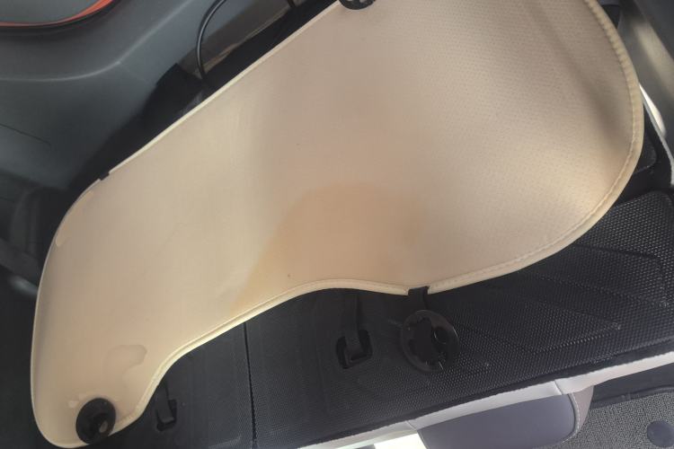 Used  Panda 2024 200km Panda Rider