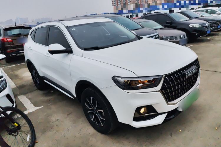 Used Haval H6 2023 National Trend Edition 1.5T Automatic Urban Version

