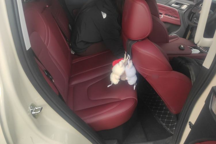 Used Tank 300 New Energy 2025 Hi4-T
