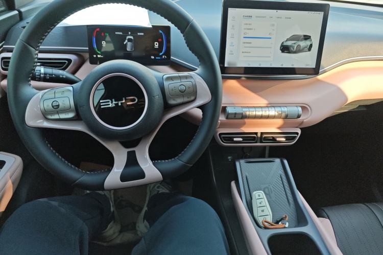 Used BYD Seagull 2024 Honor Edition 305km Freedom Version