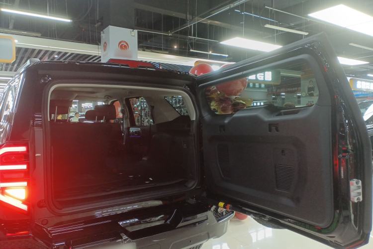 Used Tank 400 New Energy 
