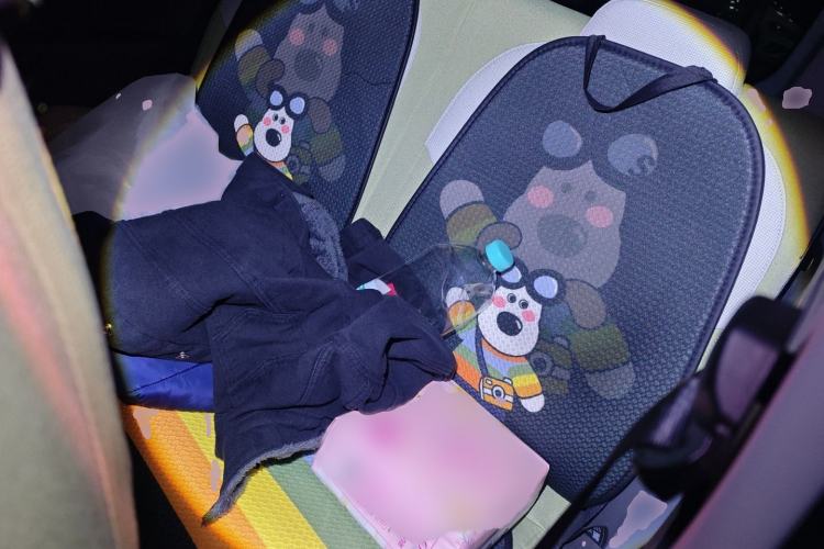 Used  Panda 2024 Panda Mini 200km Endurance Bear