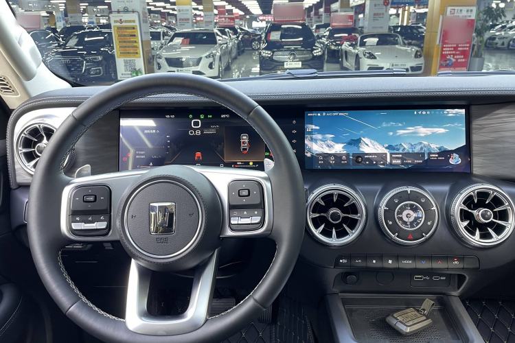 Used Tank 300 2024 2.0T Conqueror
