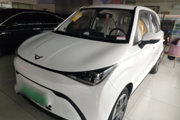 Used Cowin October 2025 Mate 300km Surfing Edition