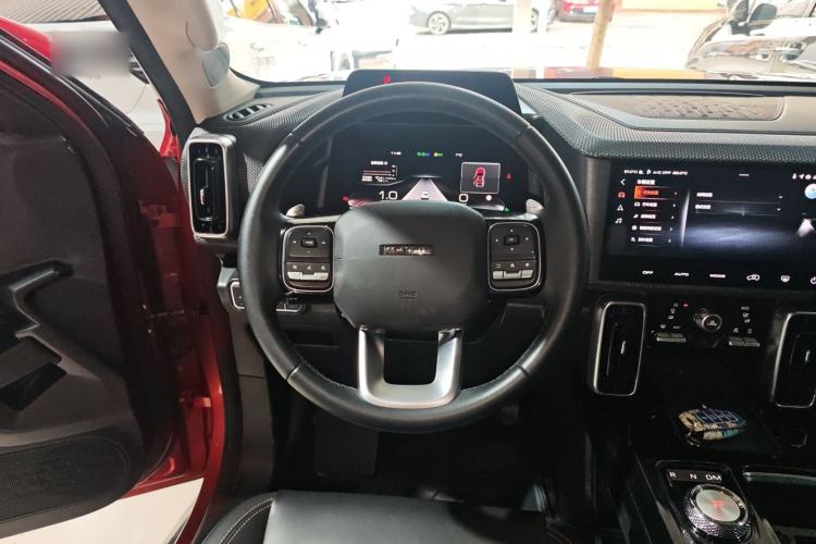 Used Haval DARGO 2021 2.0T DCT 4x4 Chinese Rural Dog Edition