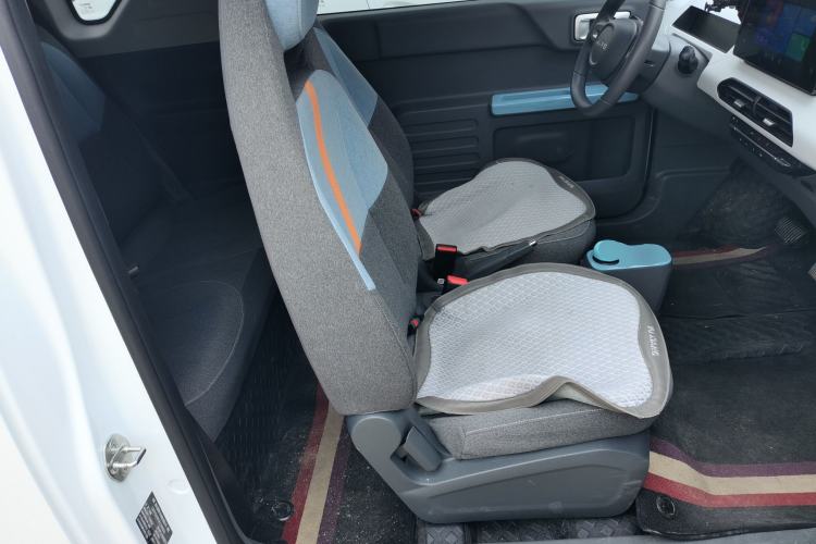 Used  Panda 2024 Panda Mini 200km Endurance Bear