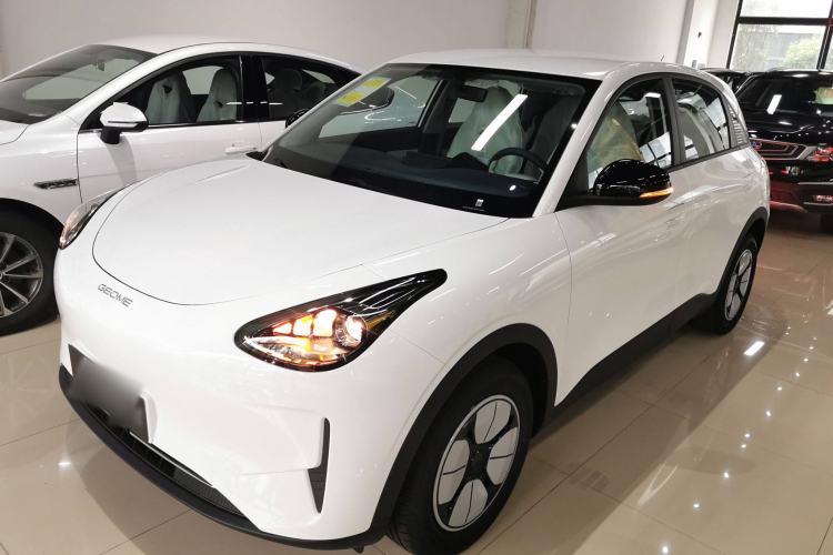 Used  Geome 2025 310km Youth Edition
