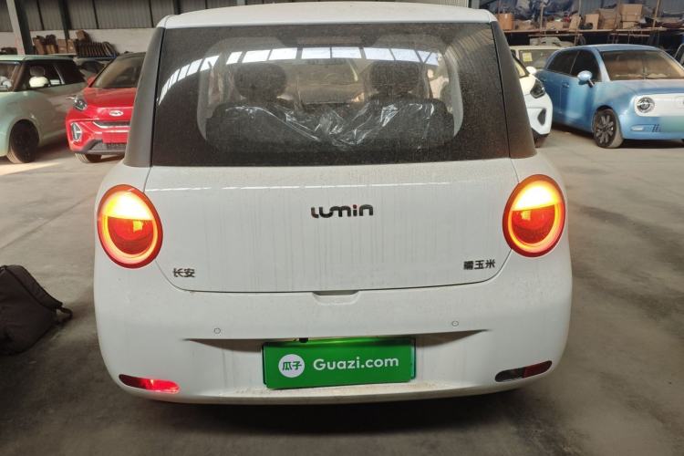 Used  Lumin 2025 205 km Xiangqin Version
