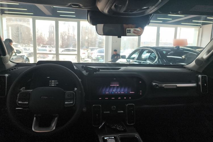 Used Haval DARGO 2024 2.0T DCT Chinese Rural Dog Edition
