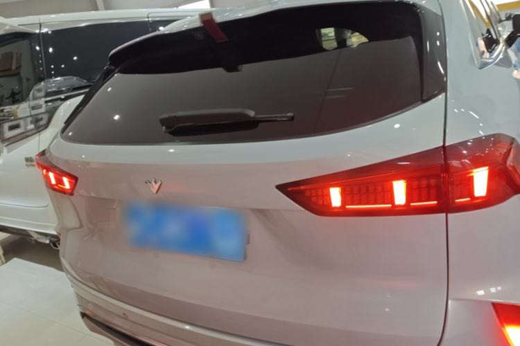 Used Wey Mocha 2021 2.0T Two-Wheel-Drive Premium Edition