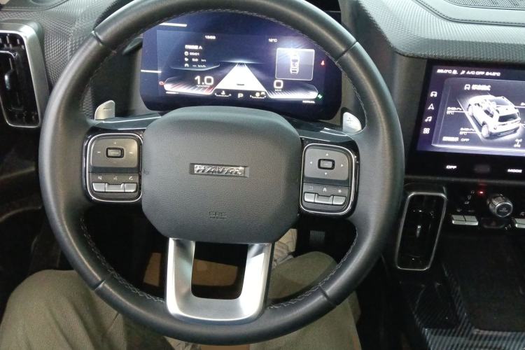 Used Haval DARGO 2021 2.0T DCT 4x4 Chinese Rural Dog Edition
