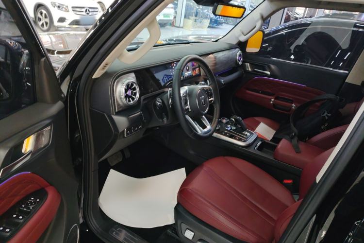 Used Tank 300 2024 2.0T Crosser
