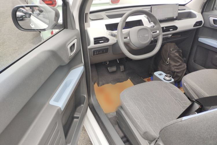 Used  Panda 2024 Panda Mini 200km Endurance Bear