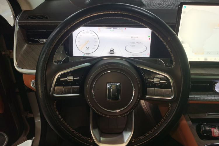 Used Tank 500 New Energy 2024 Hi4-T
