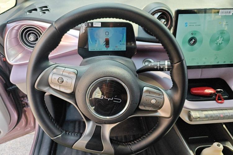 Used BYD Dolphin 2021 405 km Free Version
