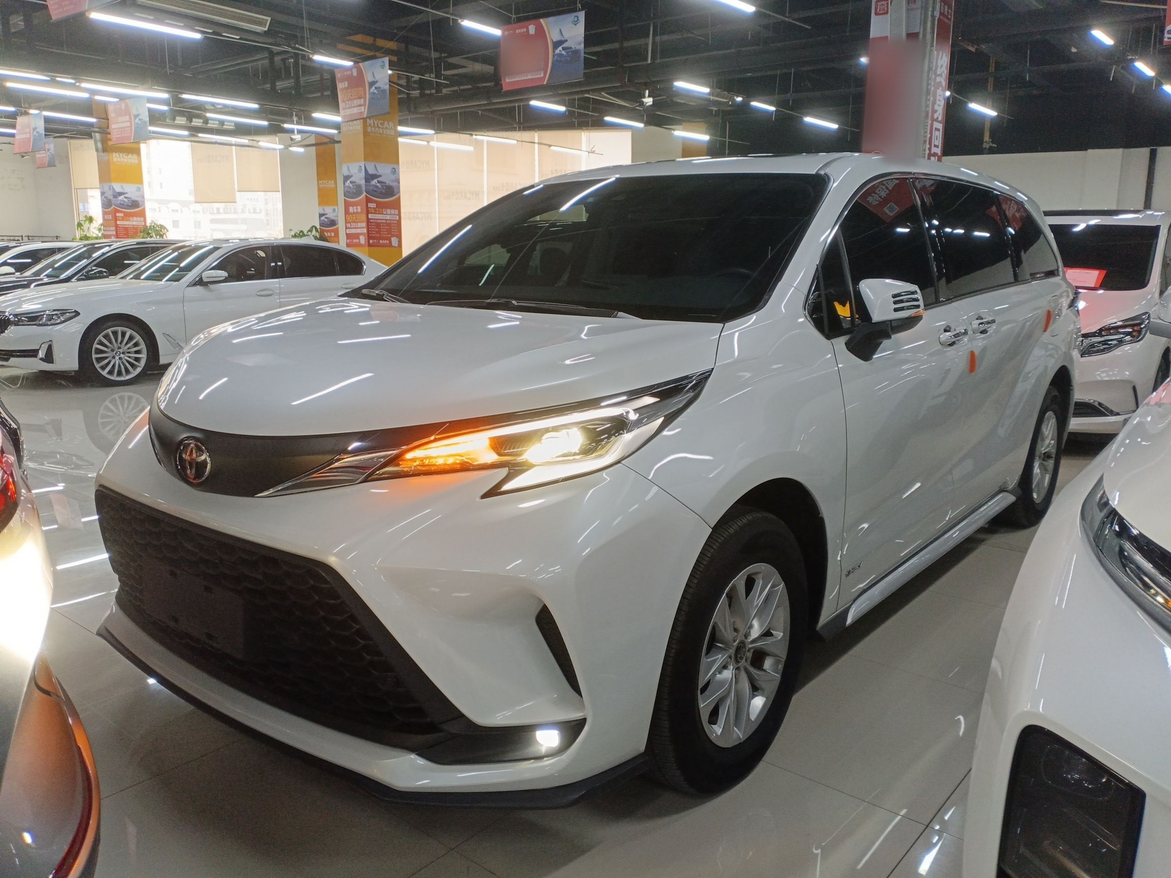 تحت مقدمة السيارة