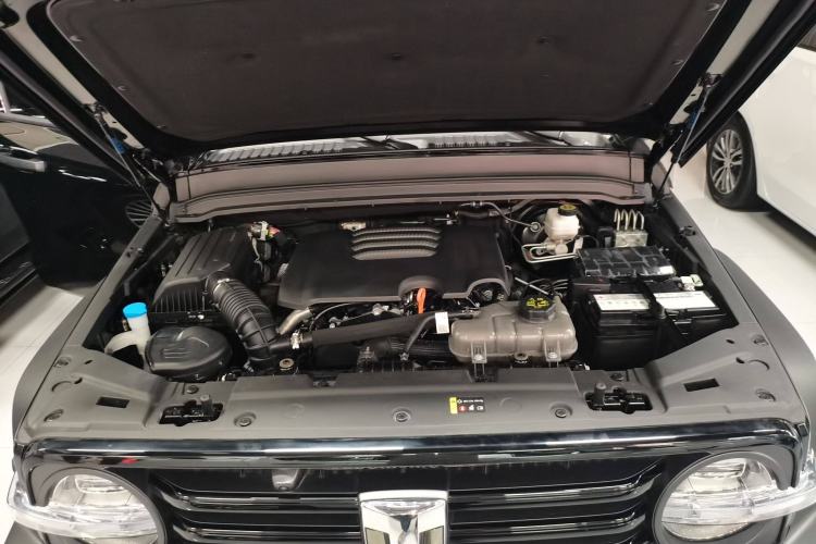 Used Tank 300 2024 2.0T Conqueror
