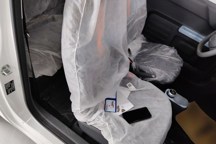 Used  Panda 2024 Panda Mini 200km Endurance Bear