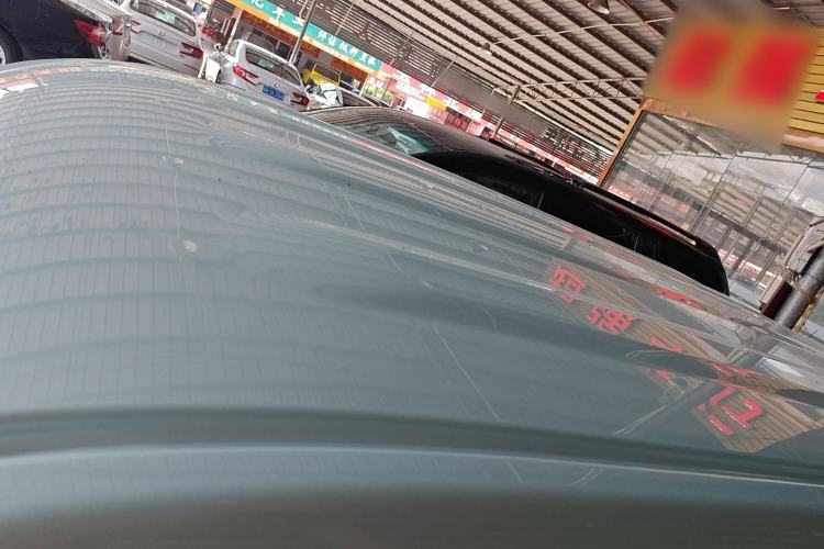 Used  Panda 2024 Panda Mini 200km Endurance Bear
