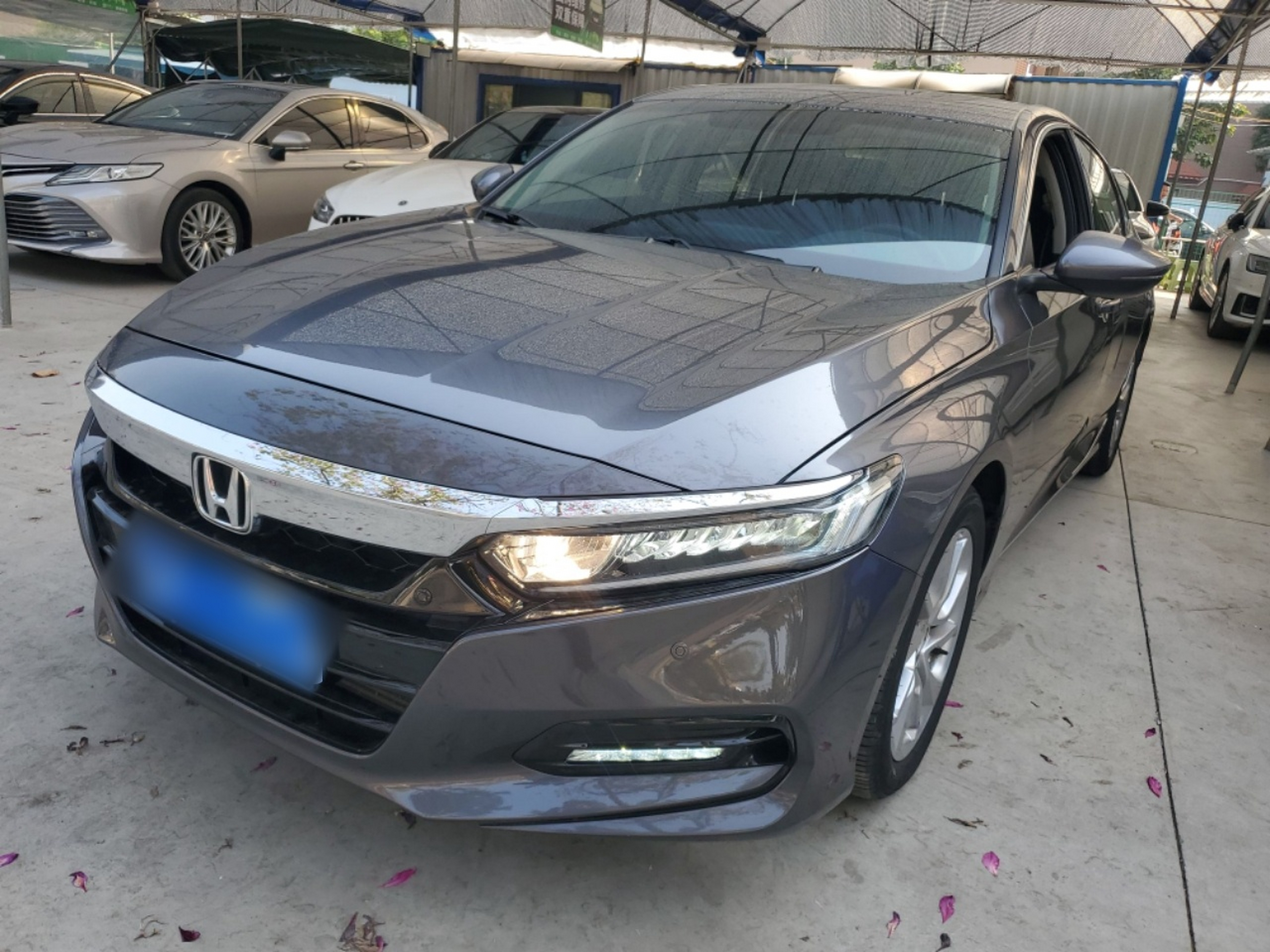 تحت مقدمة السيارة