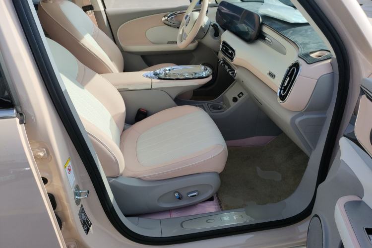 Used ORA Ballet Cat 2023 401 km Luxury Version
