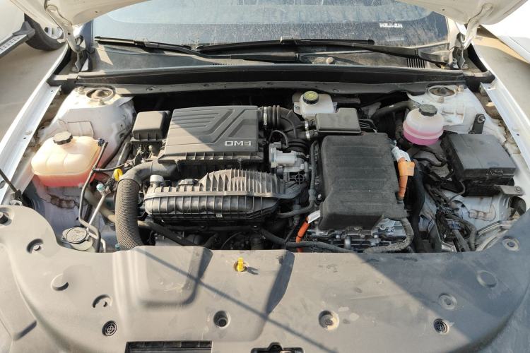 Used BYD Qin PLUS 2024 HONOR Edition DM-i 55KM Leading Model
