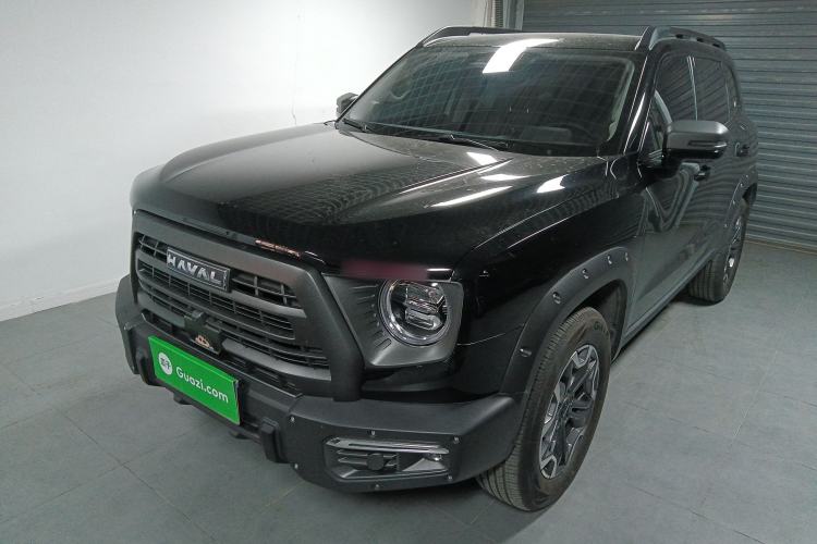 Used Haval DARGO 2024 2.0T DCT Chinese Rural Dog Edition
