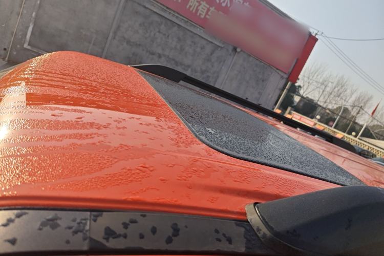 Used Tank 300 2024 2.0T Conqueror
